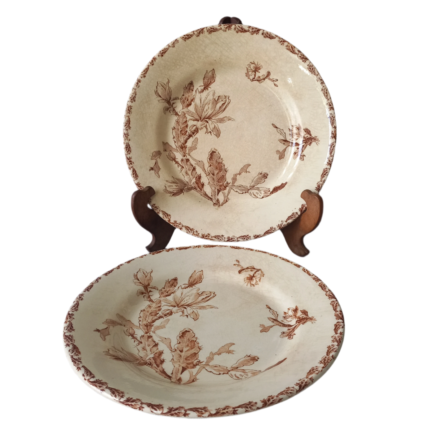 A fabulous pair of French antique ironstone creamy white plates with a sepia transferware pattern called 'Cactus' - these pieces were manufactured by famous French manufacturer Gien. They are wonderfully time-worn with lots of general crazing and horizontal crazing (see photos).