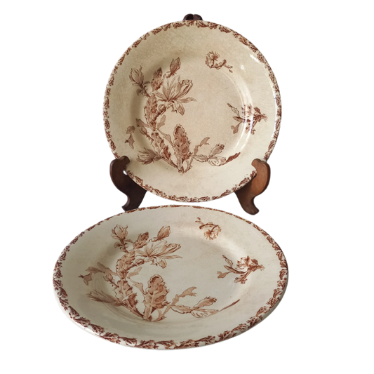 A fabulous pair of French antique ironstone creamy white plates with a sepia transferware pattern called 'Cactus' - these pieces were manufactured by famous French manufacturer Gien. They are wonderfully time-worn with lots of general crazing and horizontal crazing (see photos).
