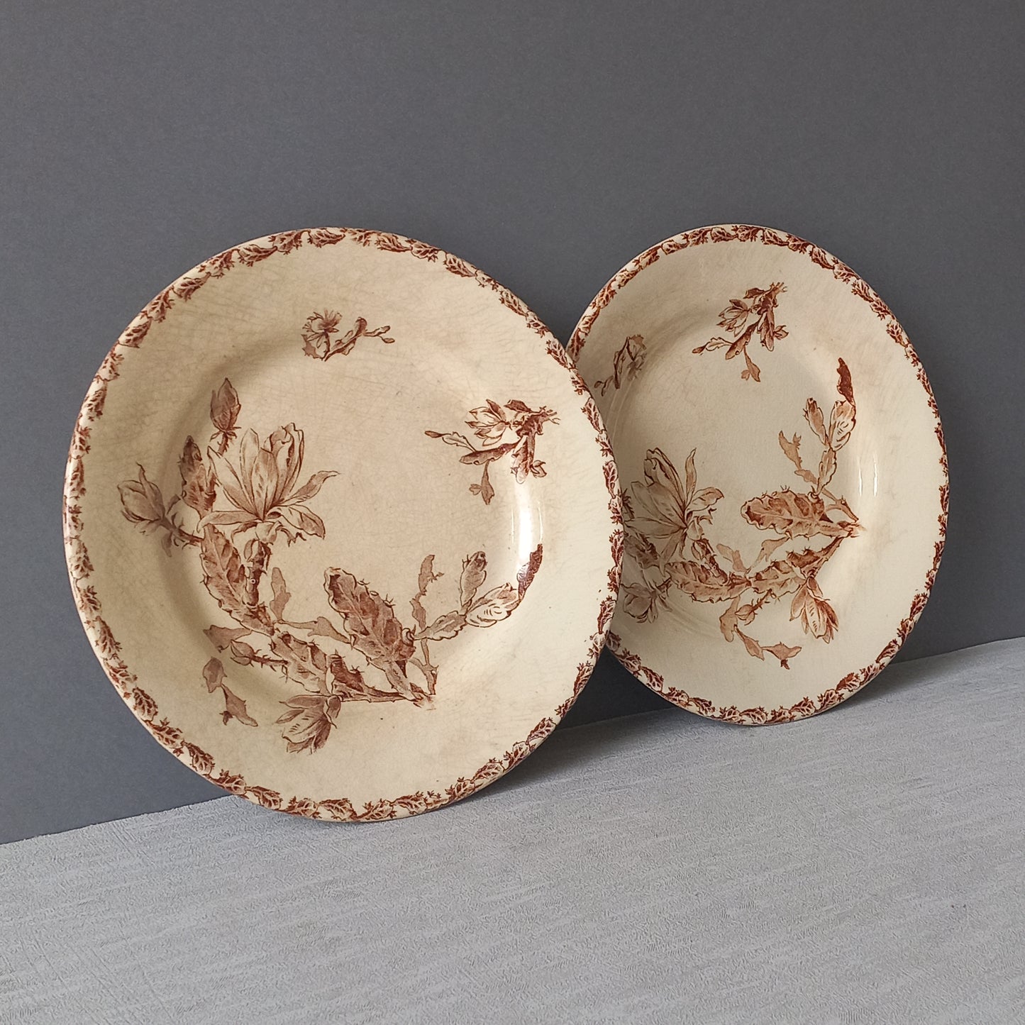 A fabulous pair of French antique ironstone creamy white plates with a sepia transferware pattern called 'Cactus' - these pieces were manufactured by famous French manufacturer Gien. They are wonderfully time-worn with lots of general crazing and horizontal crazing (see photos).