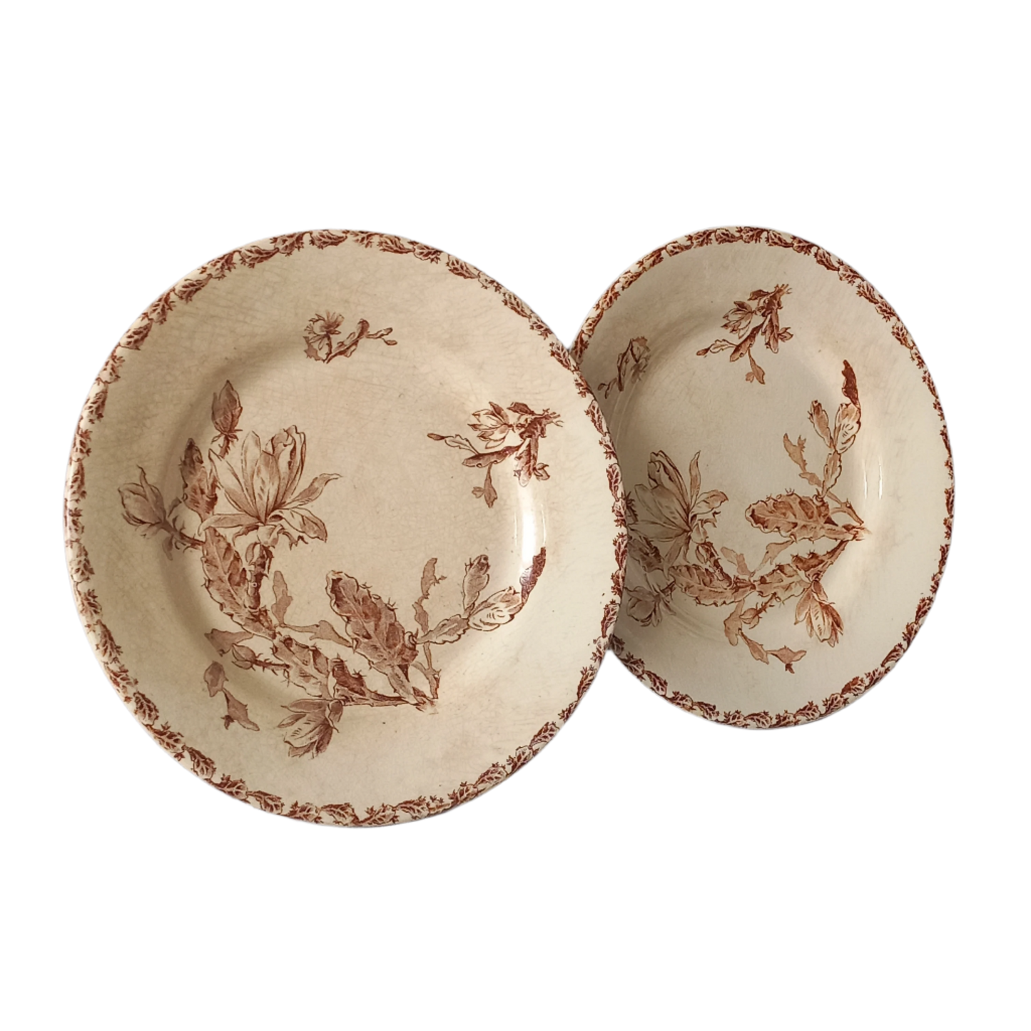 A fabulous pair of French antique ironstone creamy white plates with a sepia transferware pattern called 'Cactus' - these pieces were manufactured by famous French manufacturer Gien. They are wonderfully time-worn with lots of general crazing and horizontal crazing (see photos).