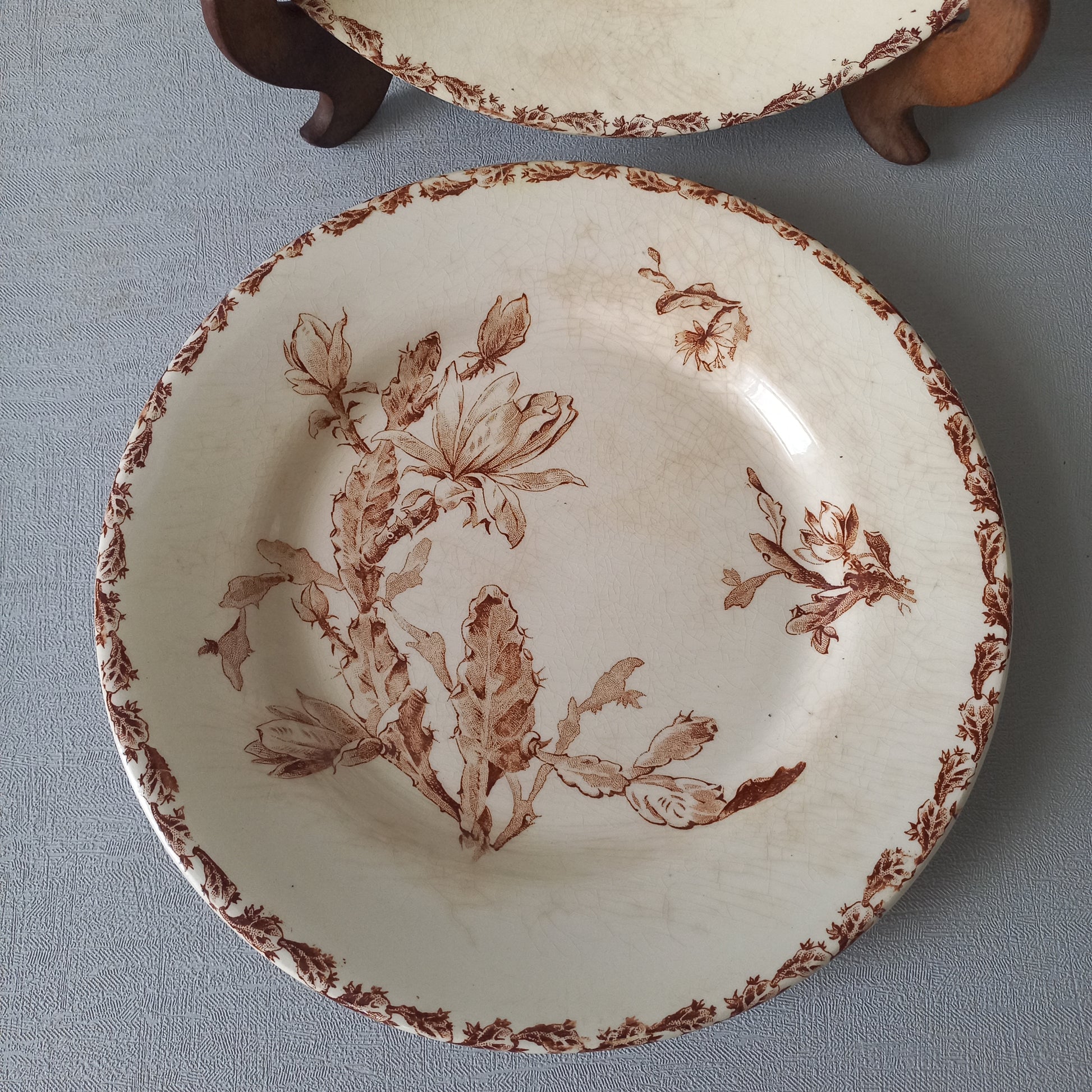 A fabulous pair of French antique ironstone creamy white plates with a sepia transferware pattern called 'Cactus' - these pieces were manufactured by famous French manufacturer Gien. They are wonderfully time-worn with lots of general crazing and horizontal crazing (see photos).