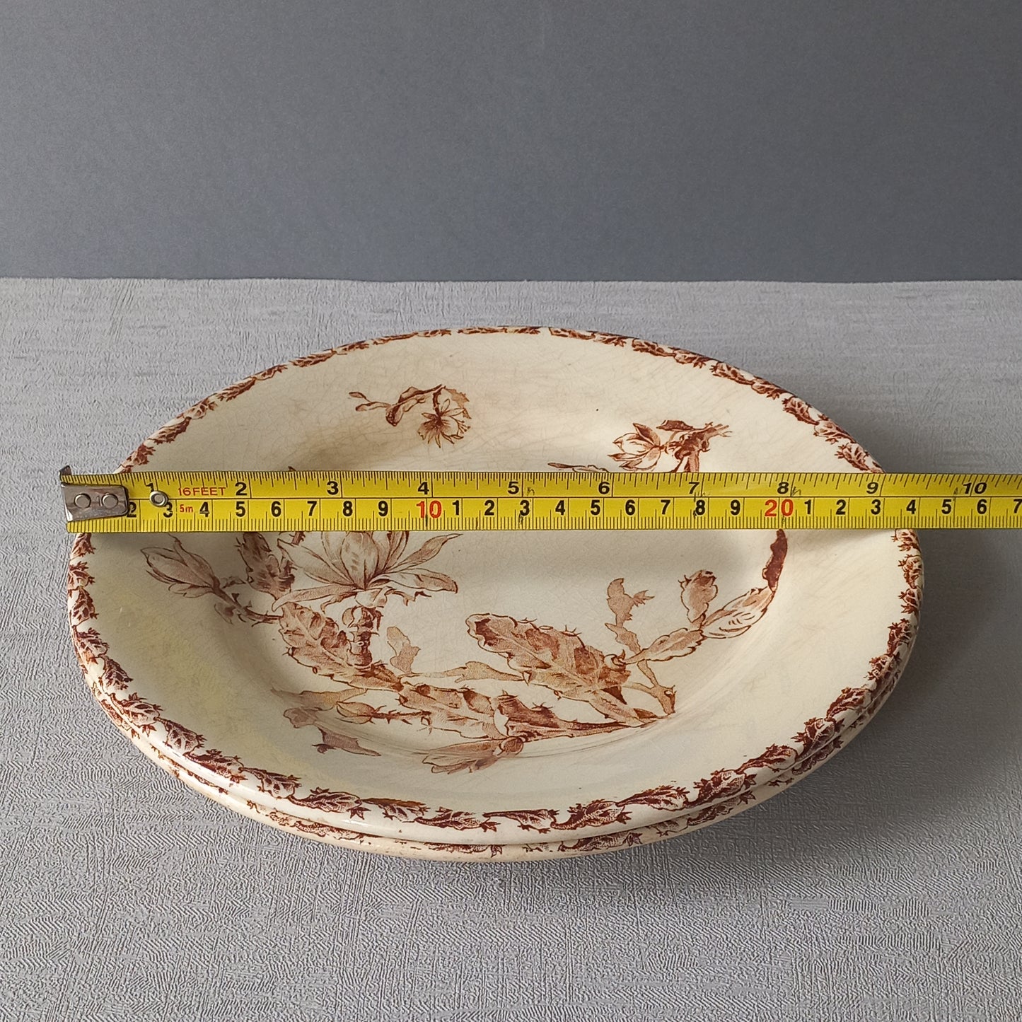A fabulous pair of French antique ironstone creamy white plates with a sepia transferware pattern called 'Cactus' - these pieces were manufactured by famous French manufacturer Gien. They are wonderfully time-worn with lots of general crazing and horizontal crazing (see photos).