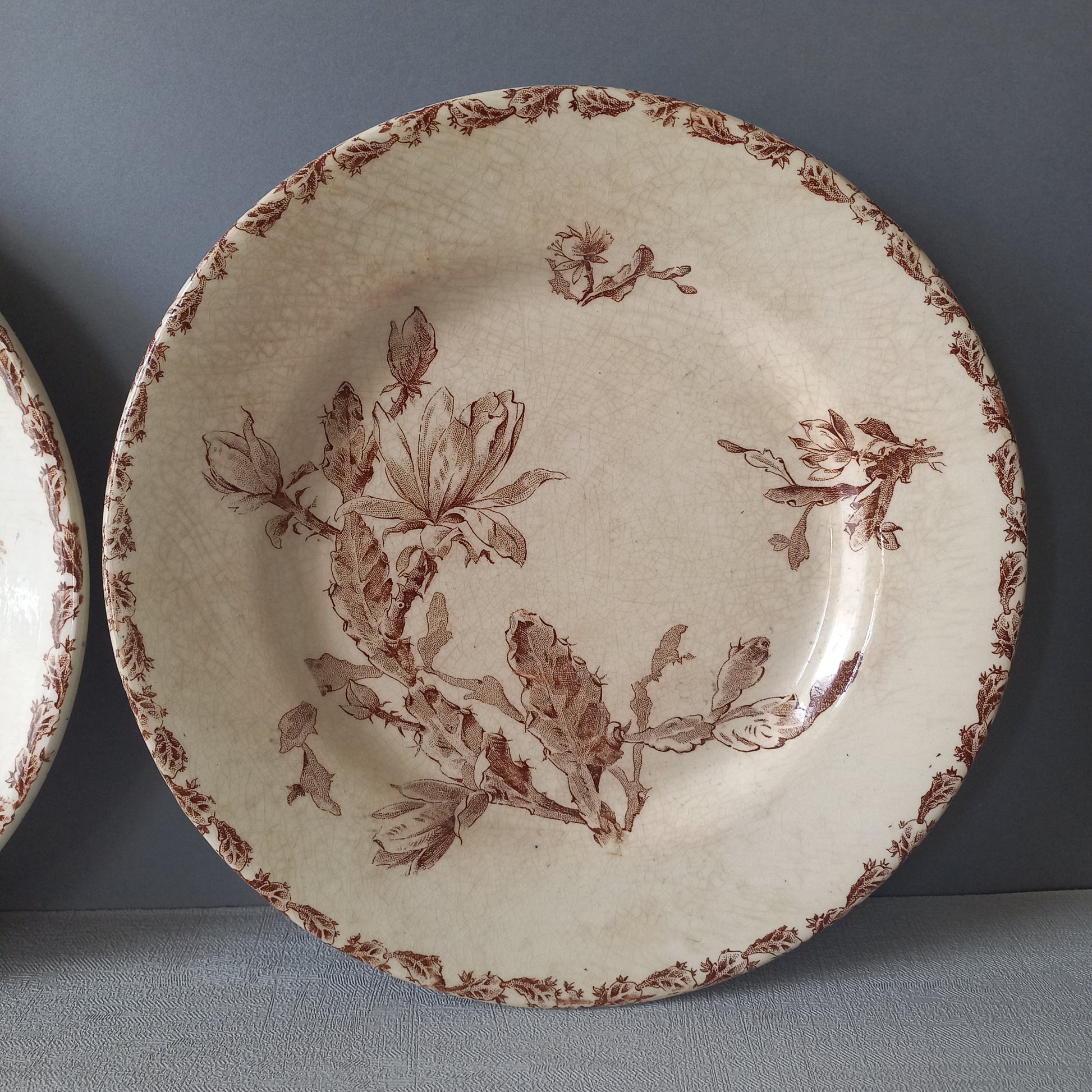 A fabulous pair of French antique ironstone creamy white plates with a sepia transferware pattern called 'Cactus' - these pieces were manufactured by famous French manufacturer Gien. They are wonderfully time-worn with lots of general crazing and horizontal crazing (see photos).