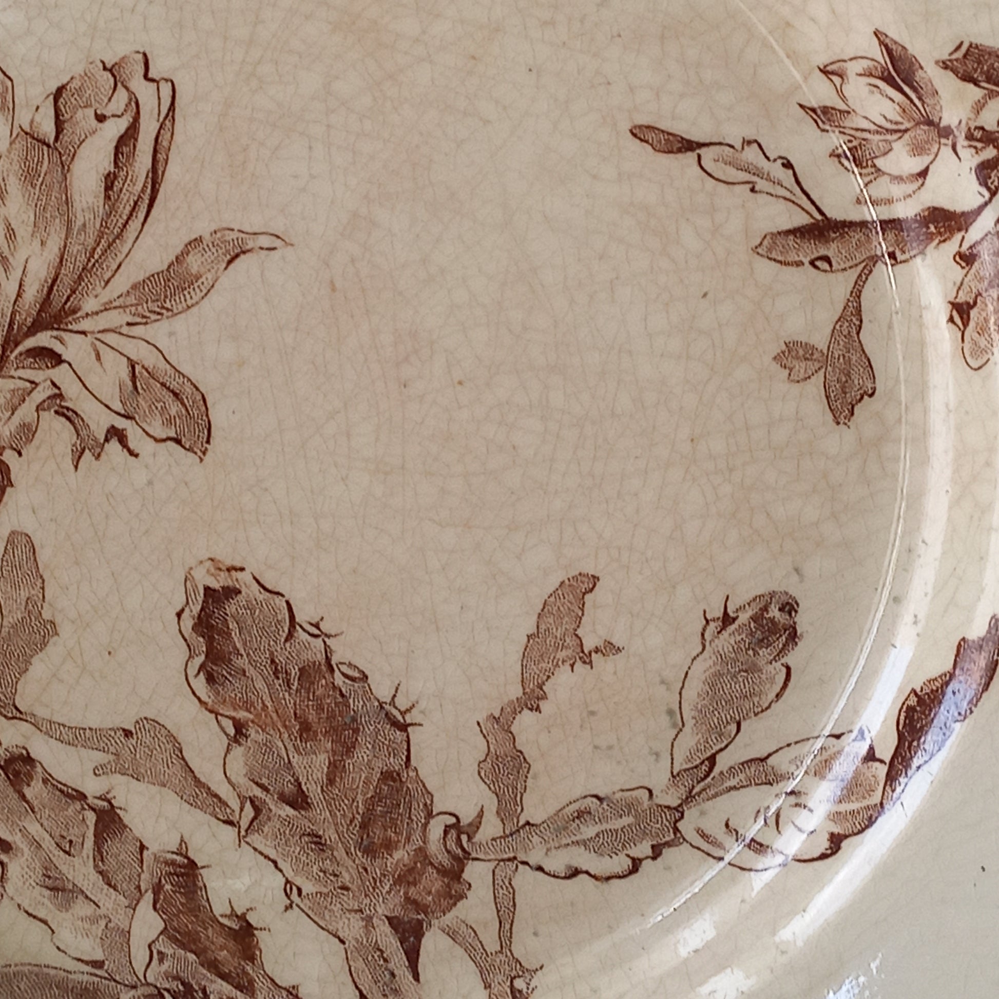 A fabulous pair of French antique ironstone creamy white plates with a sepia transferware pattern called 'Cactus' - these pieces were manufactured by famous French manufacturer Gien. They are wonderfully time-worn with lots of general crazing and horizontal crazing (see photos).
