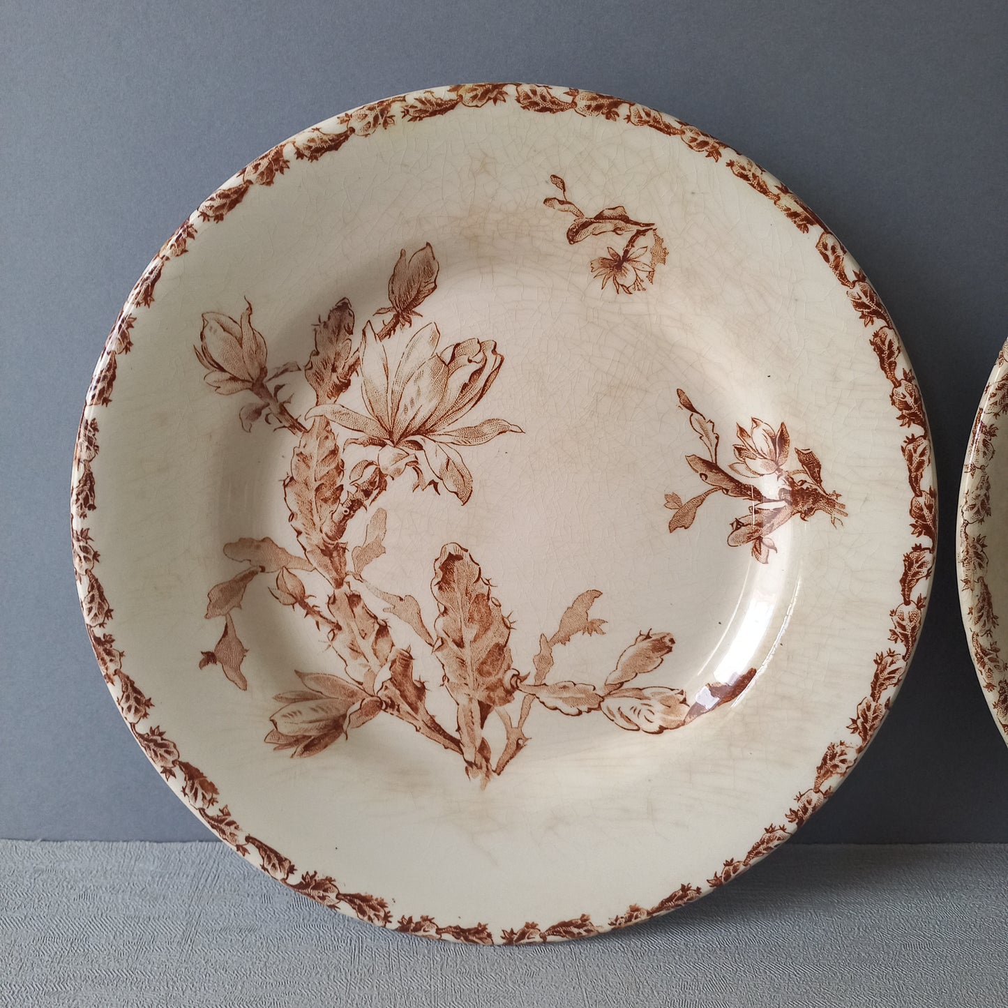 A fabulous pair of French antique ironstone creamy white plates with a sepia transferware pattern called 'Cactus' - these pieces were manufactured by famous French manufacturer Gien. They are wonderfully time-worn with lots of general crazing and horizontal crazing (see photos).