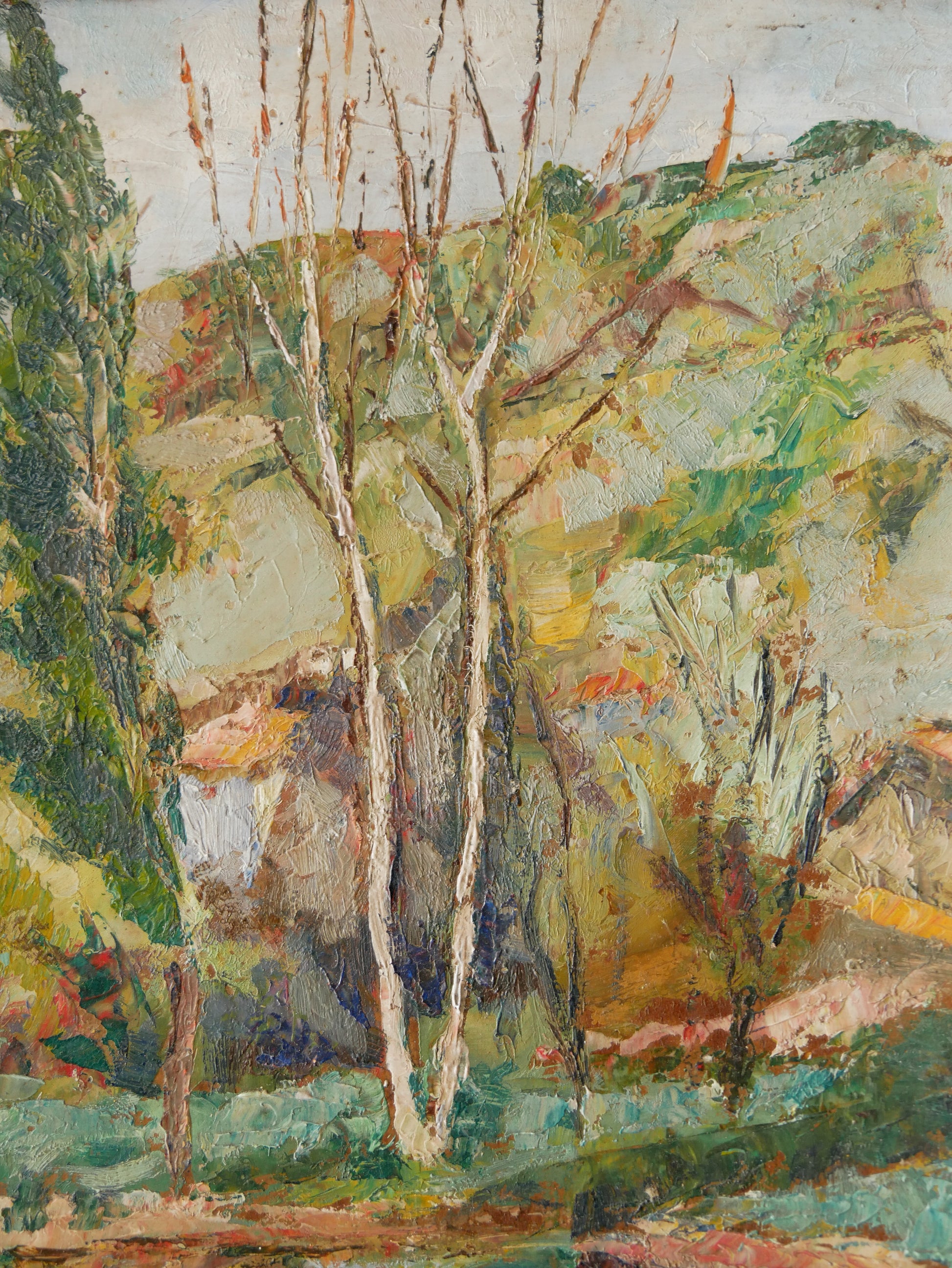 An original vintage landscape oil painting depicting a charming country home in among a wooded area with hills in the background. In the foreground a gentle river reflects the trees in the background.
The painting has been painted by an experienced artist with confident brush strokes - a really wonderful piece of original art.
The painting is presented in an old worn wooden frame which we love and think others will too - it really suits this piece.