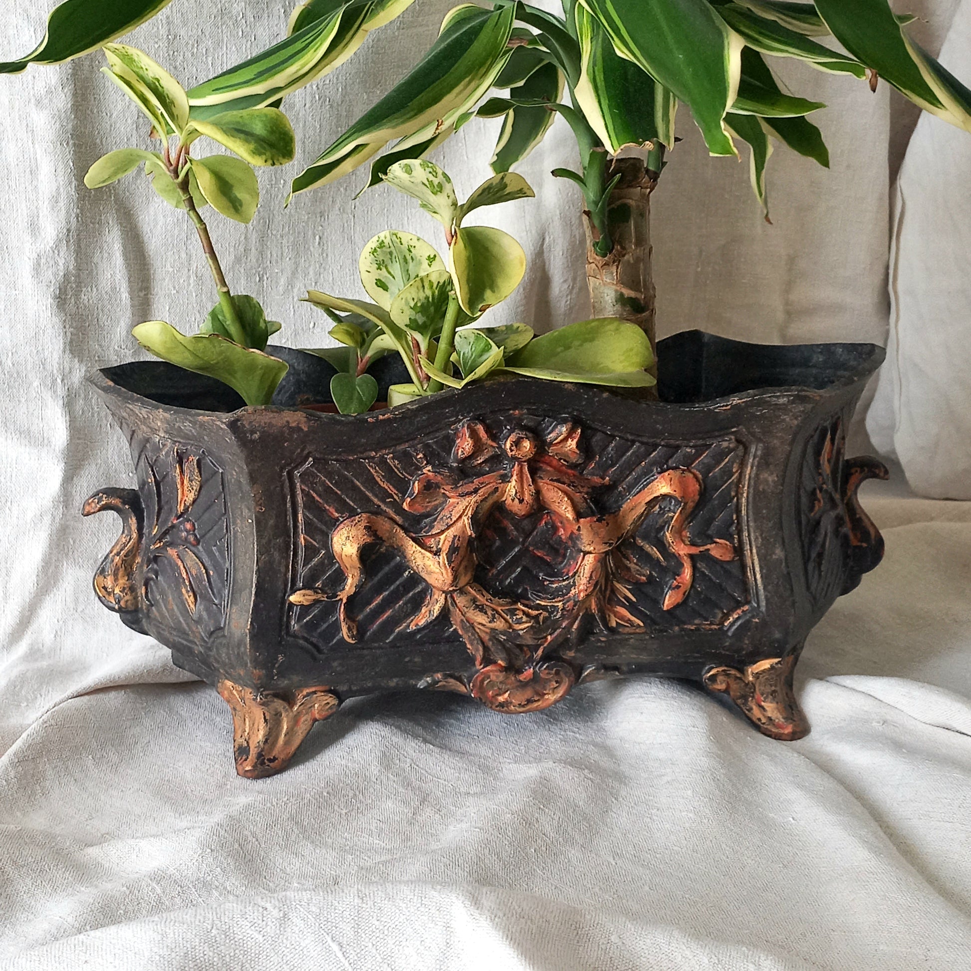 A stunning French antique decorative cast iron planter with patina of age suitable for both interior and exterior use - we rarely come across them these days so this was an exciting find.
The planter is in a striking and wonderfully aged black colour with gold coloured detailing in relief - there's some great paint chipping off areas of the gold paint showing small areas of red beneath, and also chipping from the black paint showing rusty patina, all of which add to the antique character of this beautiful