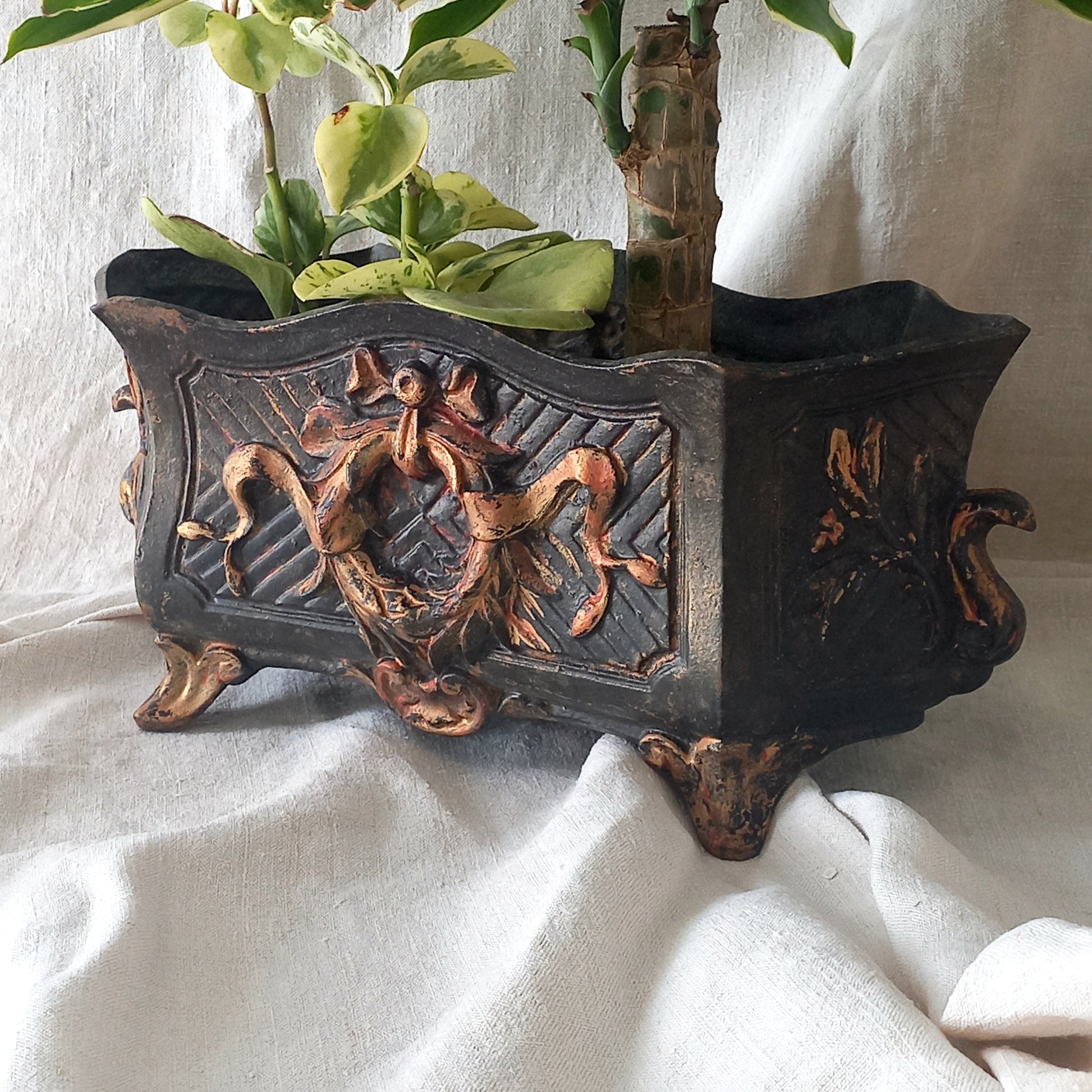 A stunning French antique decorative cast iron planter with patina of age suitable for both interior and exterior use - we rarely come across them these days so this was an exciting find.
The planter is in a striking and wonderfully aged black colour with gold coloured detailing in relief - there's some great paint chipping off areas of the gold paint showing small areas of red beneath, and also chipping from the black paint showing rusty patina, all of which add to the antique character of this beautiful
