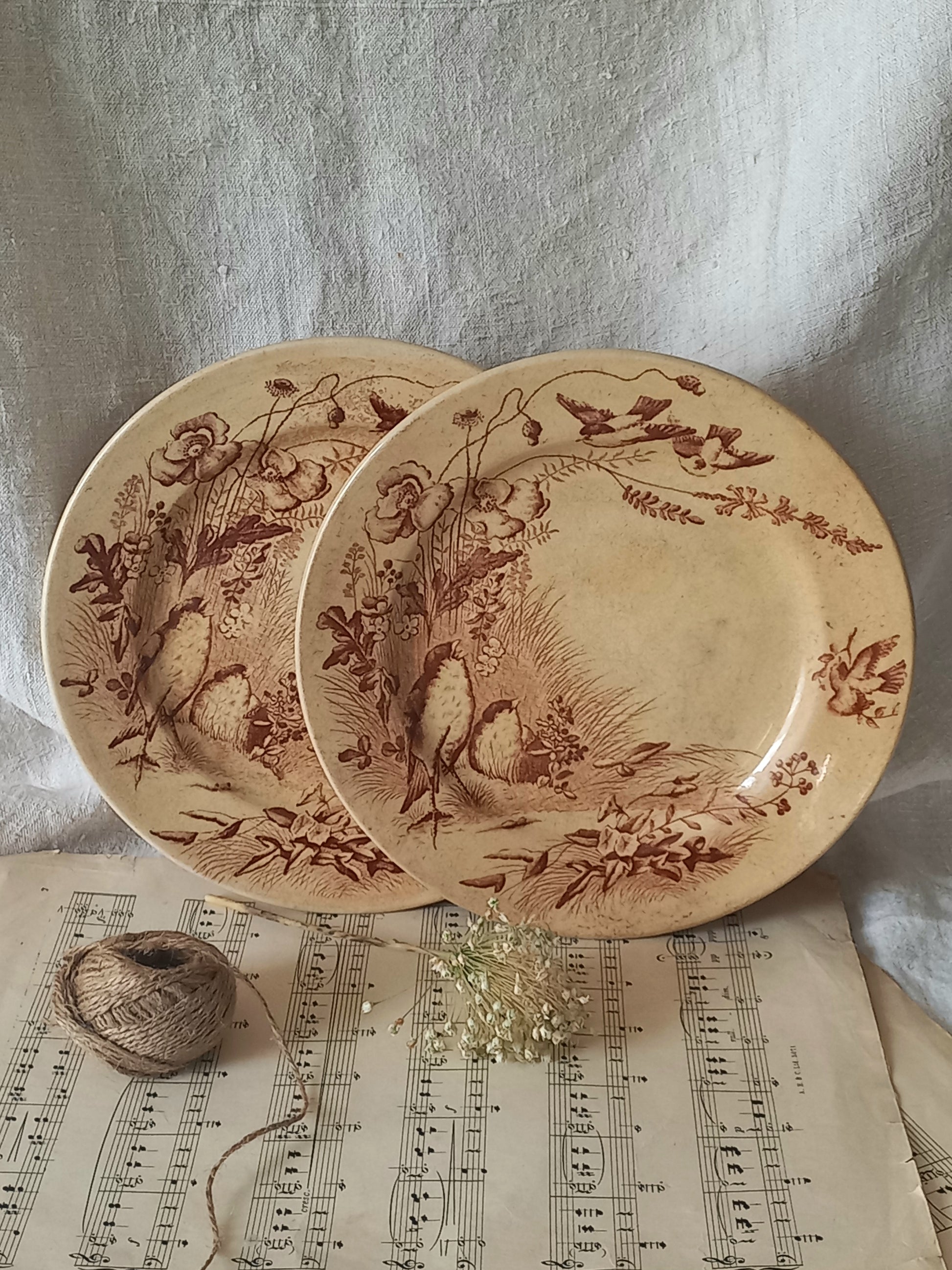 Two decorative plates with brown floral patterns on a sheet of music with a textured fabric background.