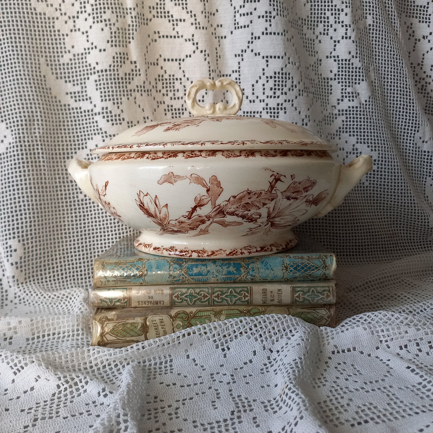 Small antique ironstone tureen with sepia pattern from France