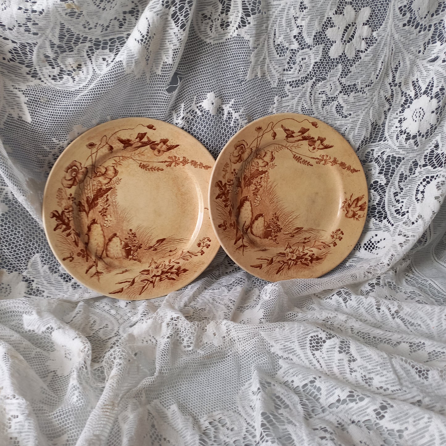 Antique ironstone plates with bird patterns by Jules Veillard Bordeaux, decorative sepia transferware, French shabby chic plates