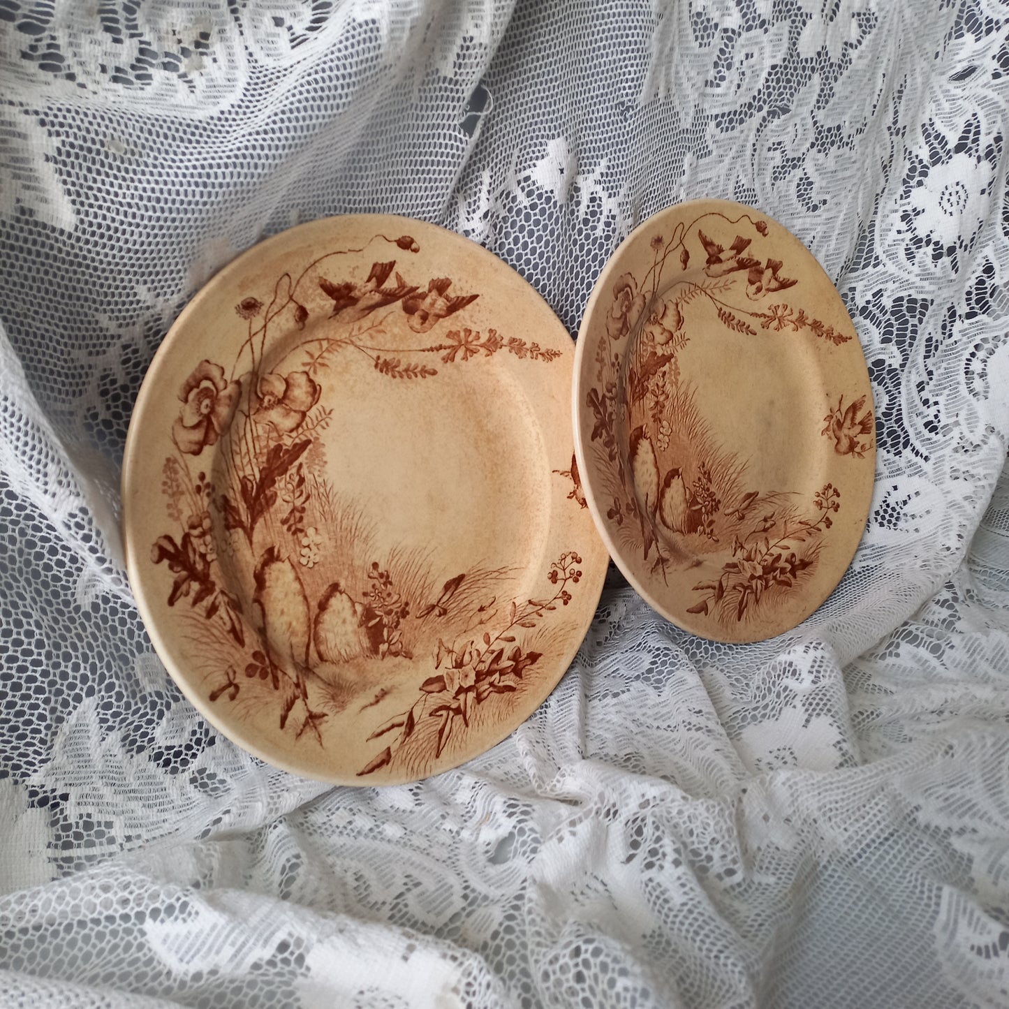 Antique ironstone plates with bird patterns by Jules Veillard Bordeaux, decorative sepia transferware, French shabby chic plates