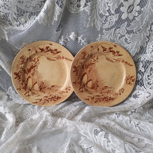 Antique ironstone plates with bird patterns by Jules Veillard Bordeaux, decorative sepia transferware, French shabby chic plates