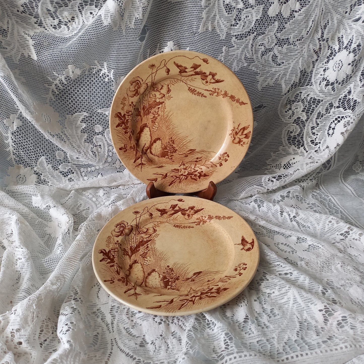 Antique ironstone plates with bird patterns by Jules Veillard Bordeaux, decorative sepia transferware, French shabby chic plates