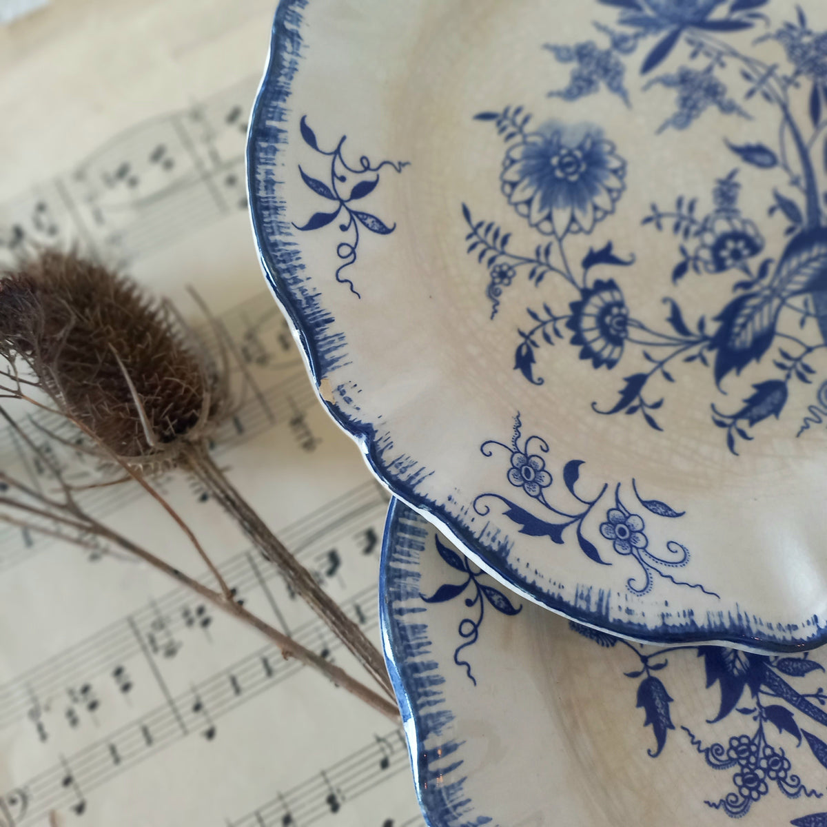 Blue floral patterned plate on a sheet of music with a dried plant.