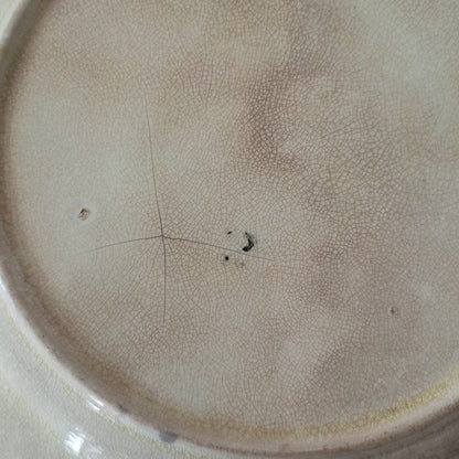 Close-up of a ceramic plate with a textured surface and imperfections.