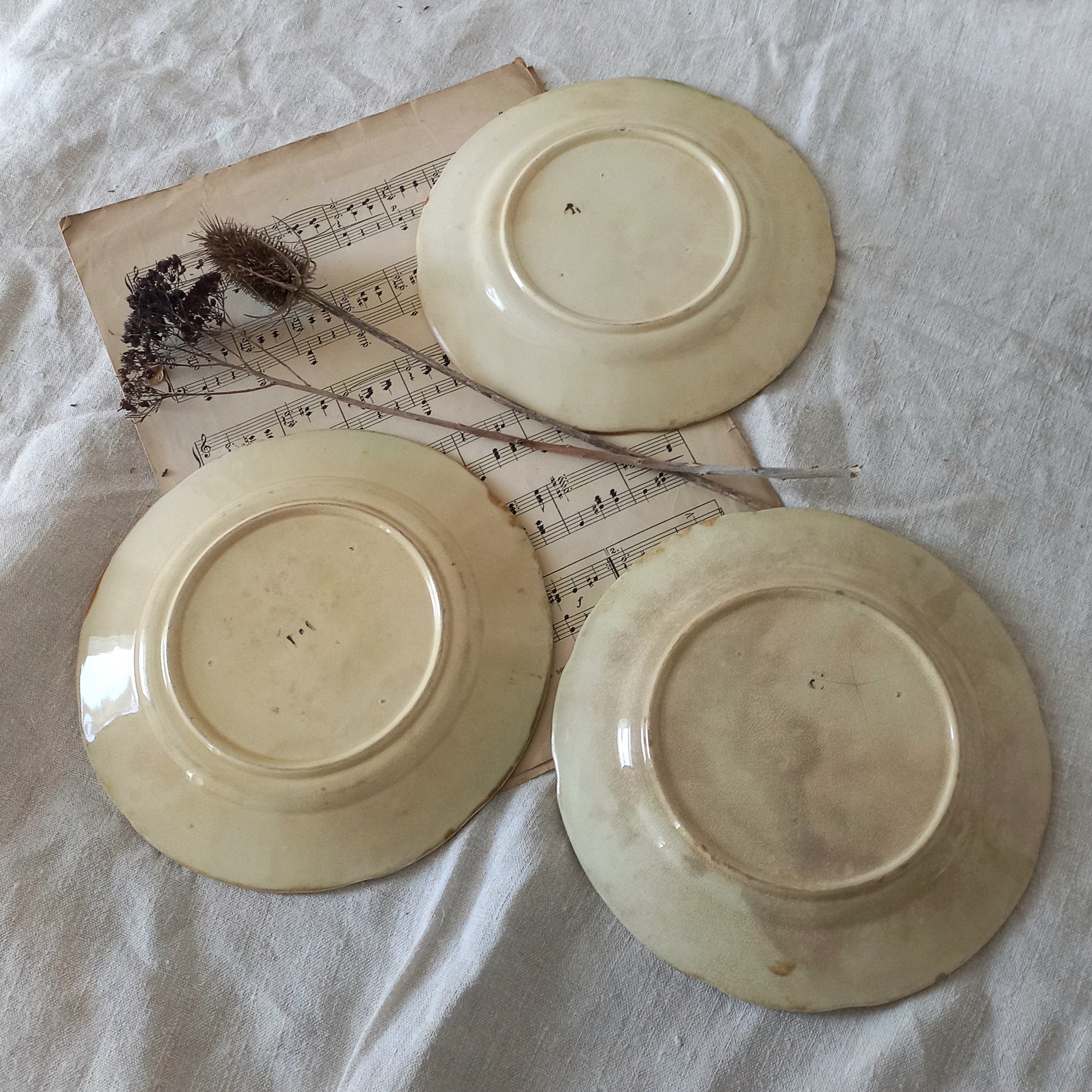 Three ceramic plates on a sheet of music with dried flowers.