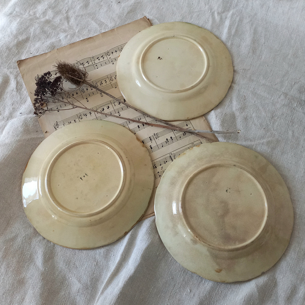 Three ceramic plates on a sheet of music with dried flowers.