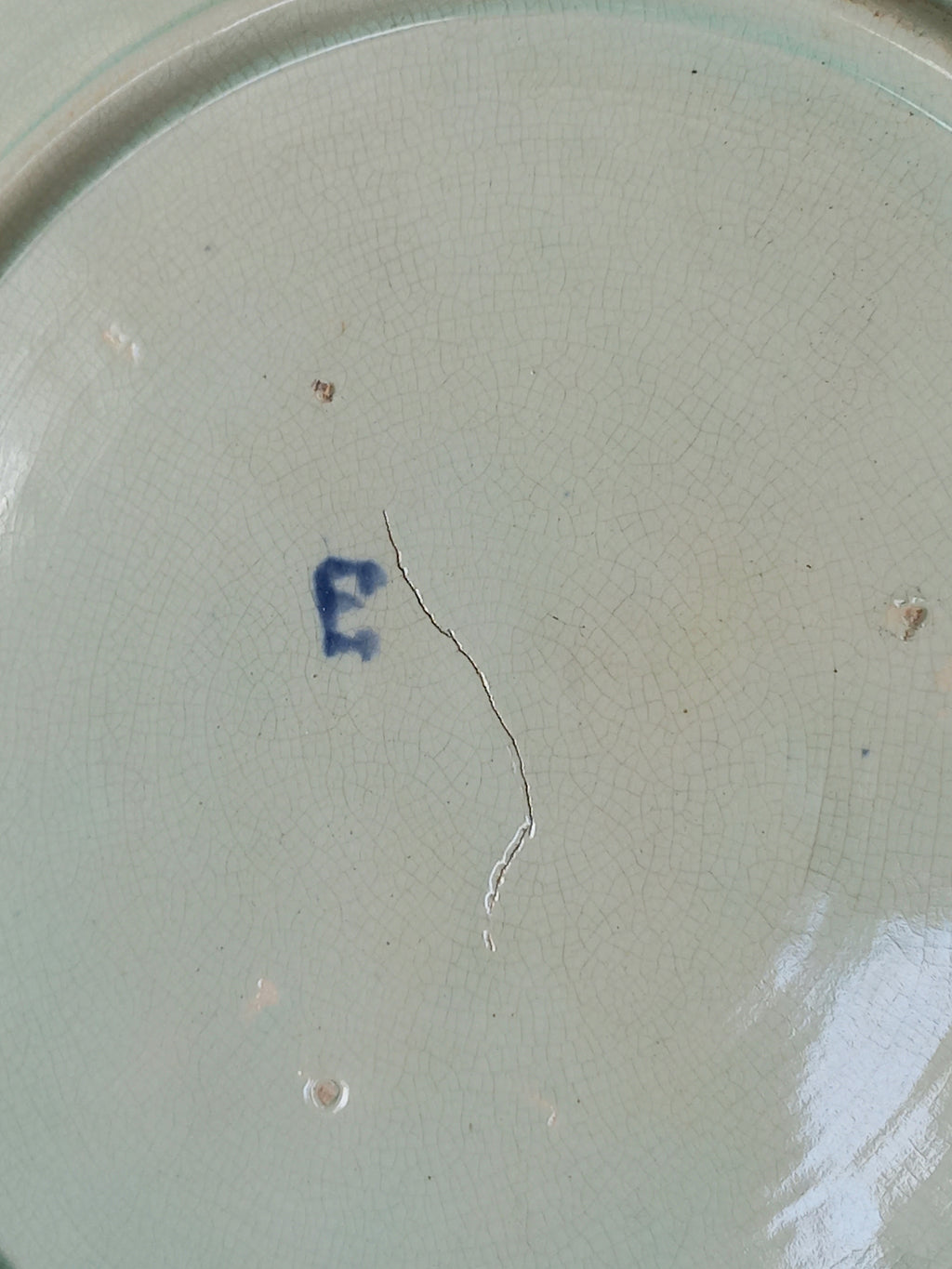 Rear of antique Wasmuel blue floral majolica plate with designs in relief.
