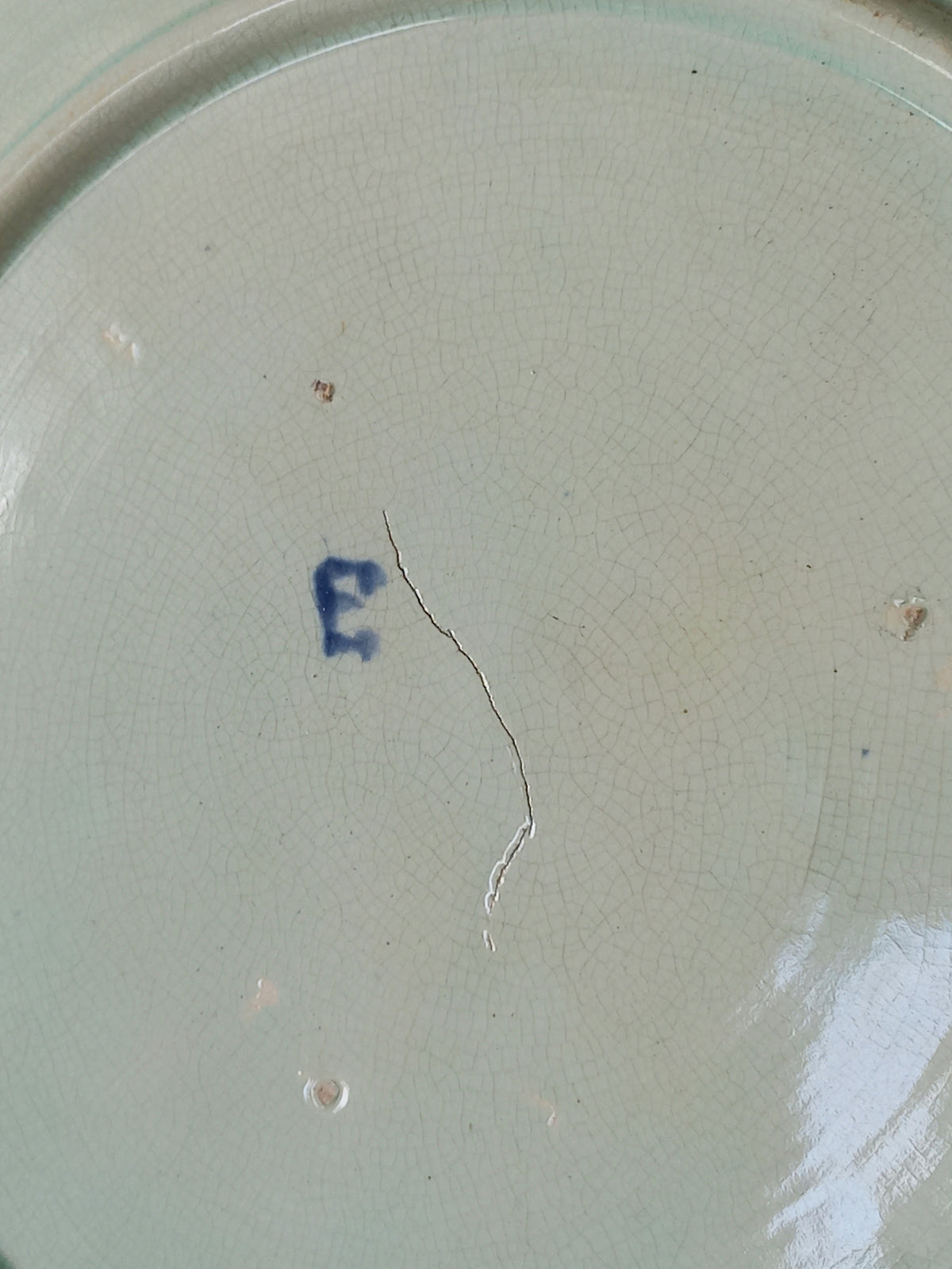 Rear of antique Wasmuel blue floral majolica plate with designs in relief.