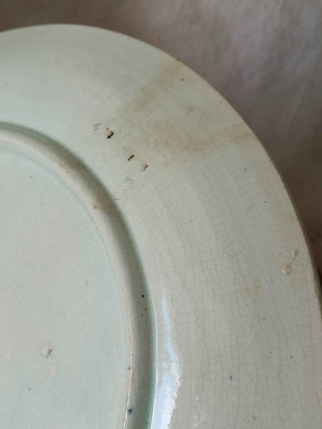 Rear close-up of antique Wasmuel blue floral majolica plate with designs in relief.