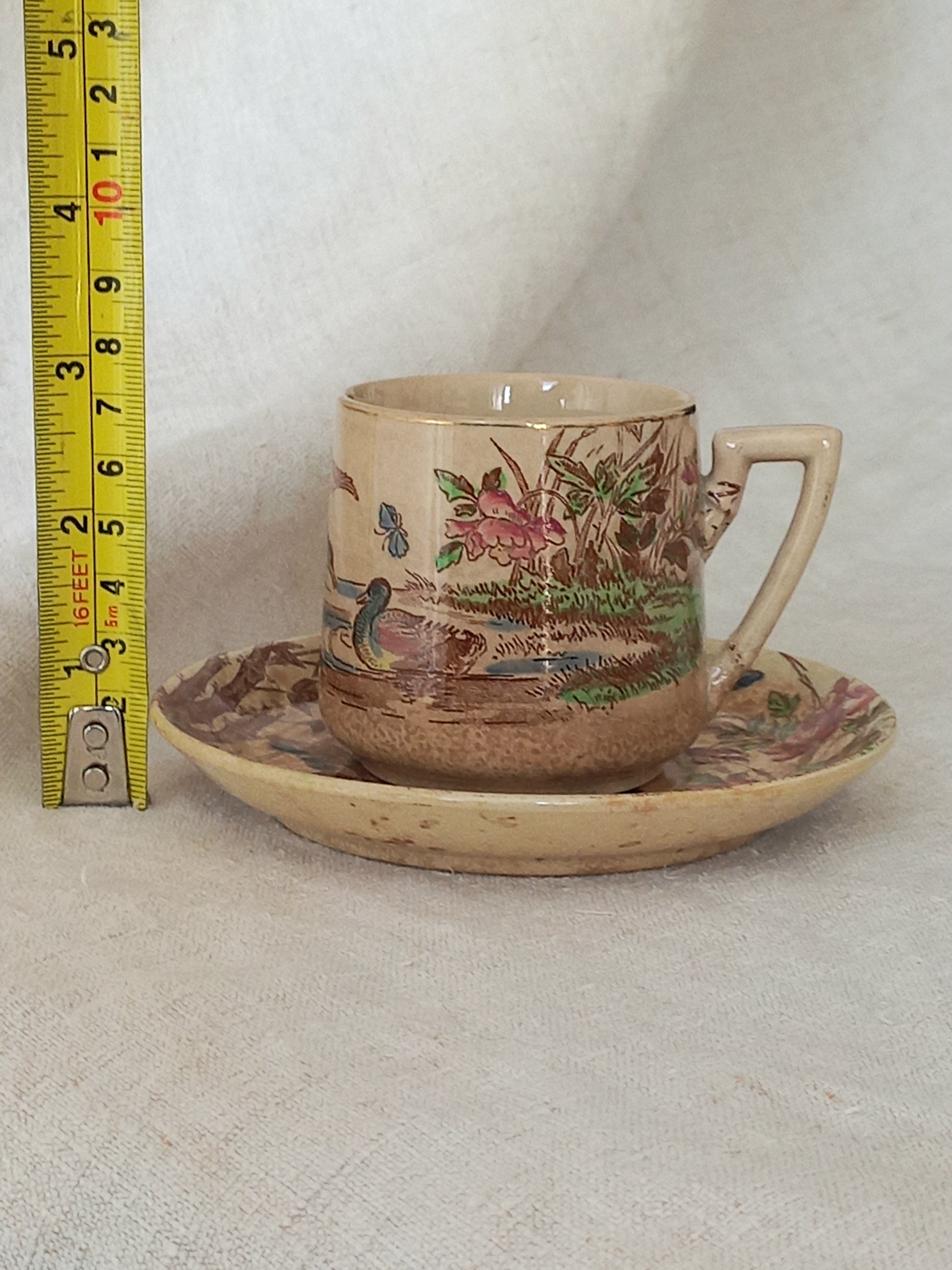Ceramic cup and saucer with nature-themed design, accompanied by a ruler for scale.