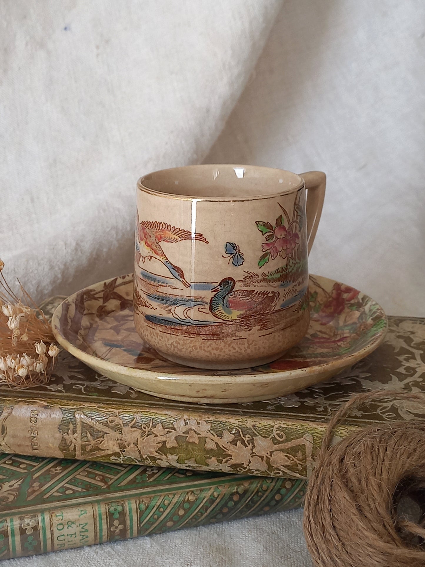 A little antique cup and saucer with oriental influenced design depicting ducks, butterflies, flowers and bamboo shoots, placed on an antique books display.