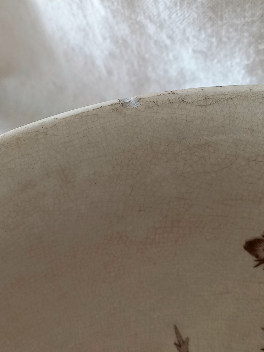Close-up of the interior rim of a ceramic bowl or plate with a warm beige glaze, visible crackle texture, and a small brown floral motif at the lower right.