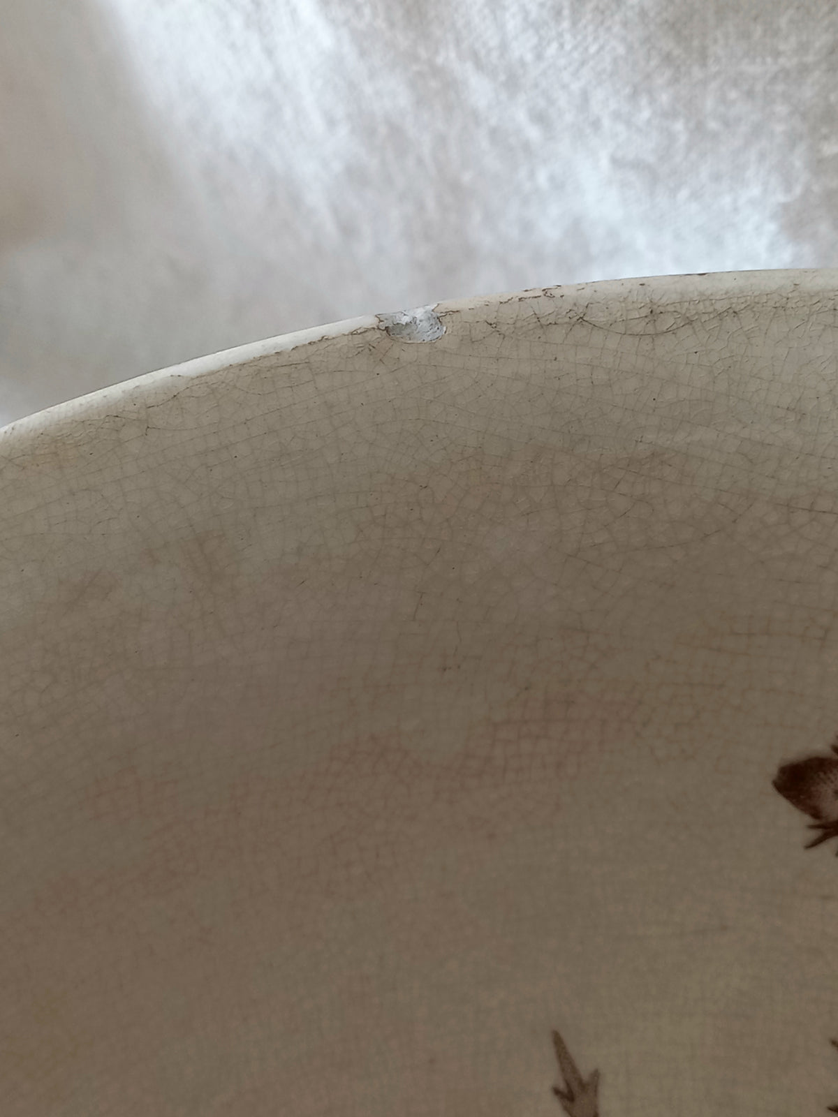 Close-up of the interior rim of a ceramic bowl or plate with a warm beige glaze, visible crackle texture, and a small brown floral motif at the lower right.