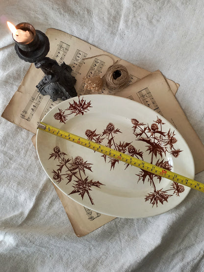 French Antique Oval Ironstone Plate or Platter with brown Floral Pattern