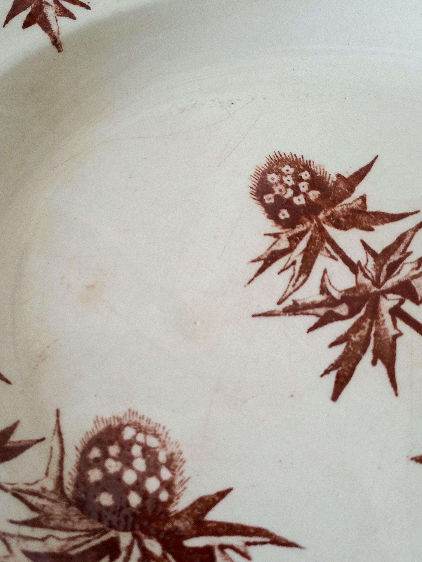 Detail of French Antique Oval Ironstone Plate or Platter with brown Floral Pattern
