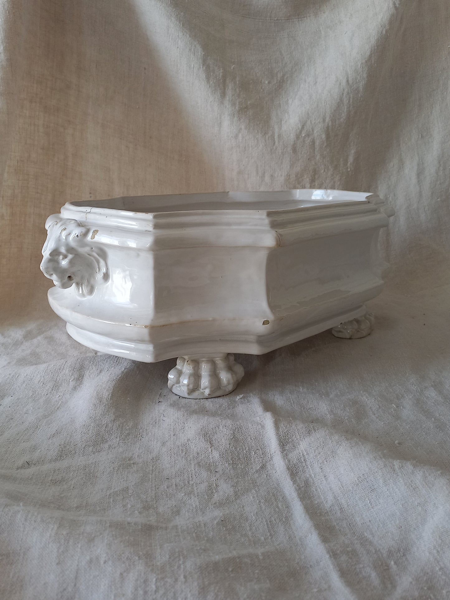 antique white ceramic planter with a lion head relief on the front and claw-footed base, set against a draped beige fabric background.