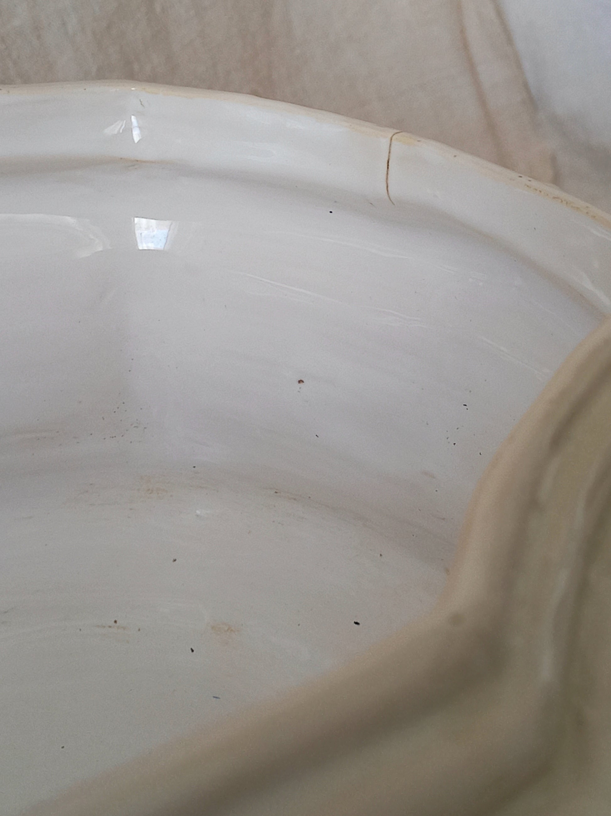 Close-up detail of antique white ceramic planter with a lion head relief on the front and claw-footed base, set against a draped beige fabric background.