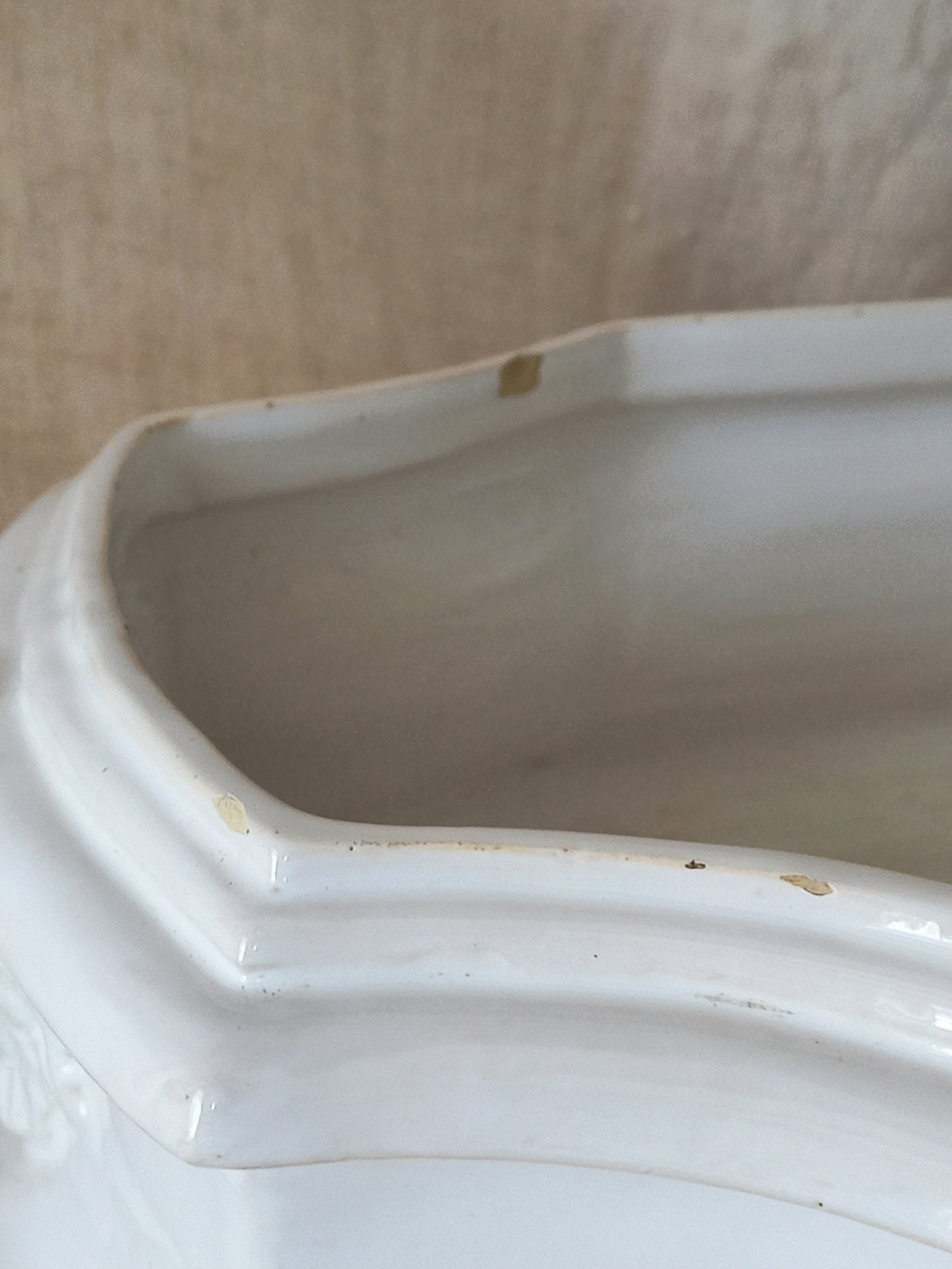 Close-up detail of antique white ceramic planter with a lion head relief on the front and claw-footed base, set against a draped beige fabric background.