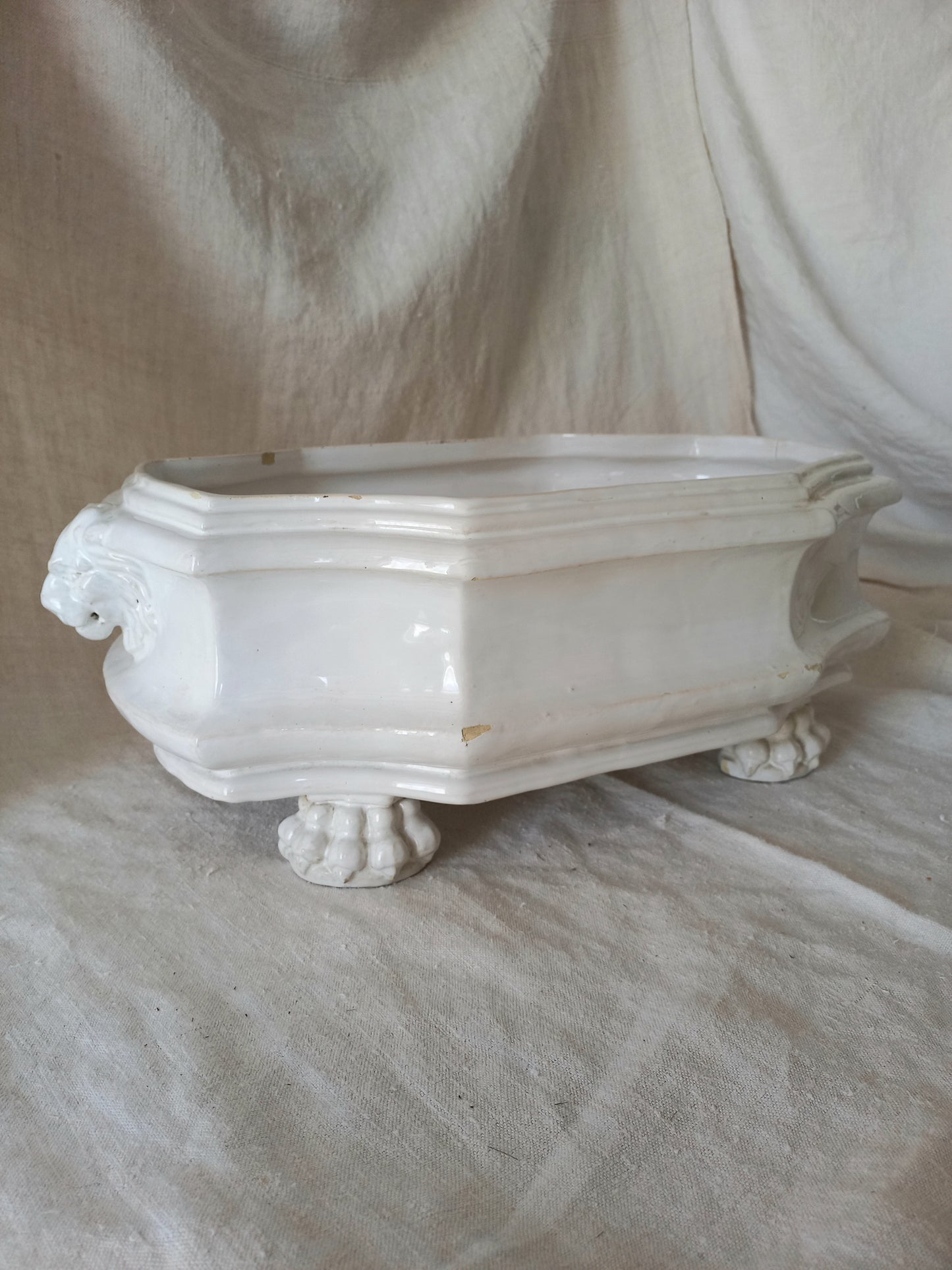 antique white ceramic planter with a lion head relief on the front and claw-footed base, set against a draped beige fabric background.