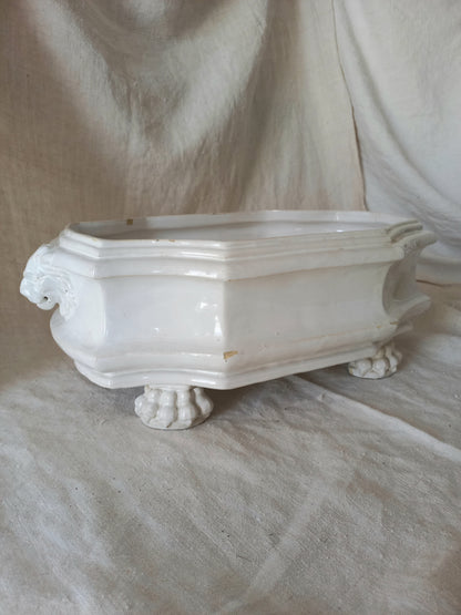 antique white ceramic planter with a lion head relief on the front and claw-footed base, set against a draped beige fabric background.