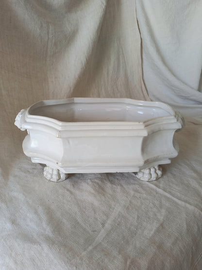 antique white ceramic planter with a lion head relief on the front and claw-footed base, set against a draped beige fabric background.