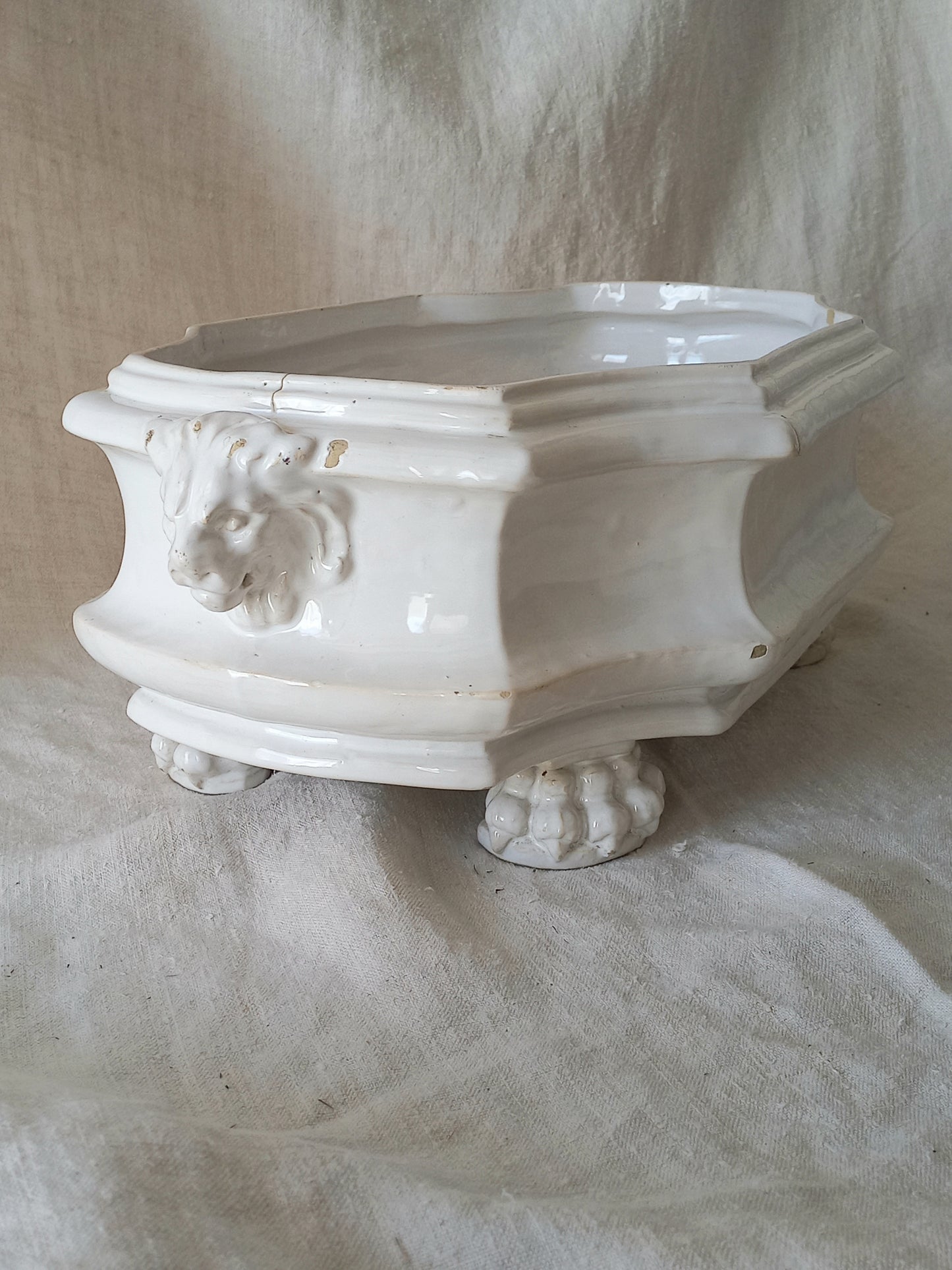 An antique white ceramic planter with a lion head relief on the front and claw-footed base, set against a draped beige fabric background.