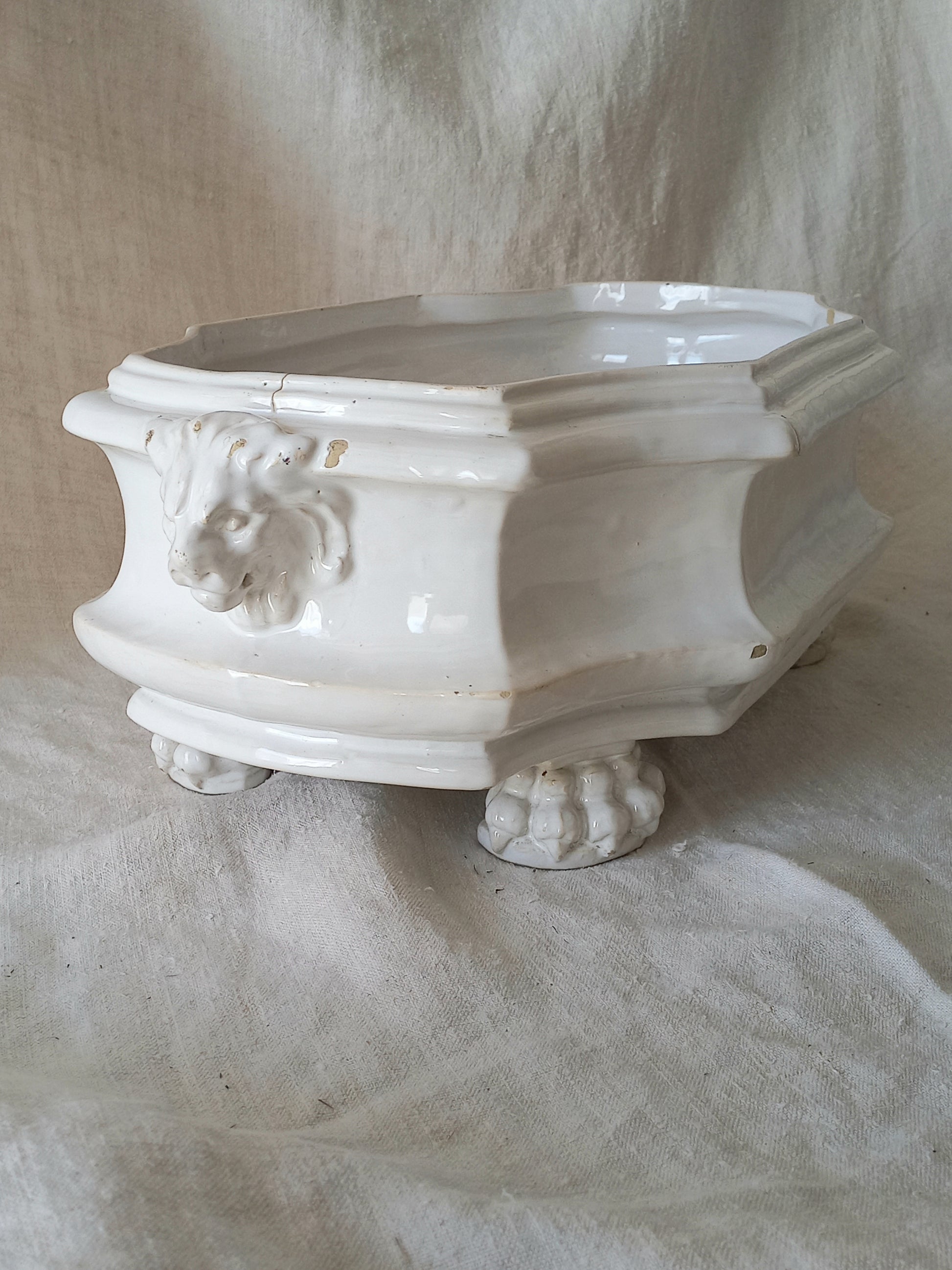An antique white ceramic planter with a lion head relief on the front and claw-footed base, set against a draped beige fabric background.