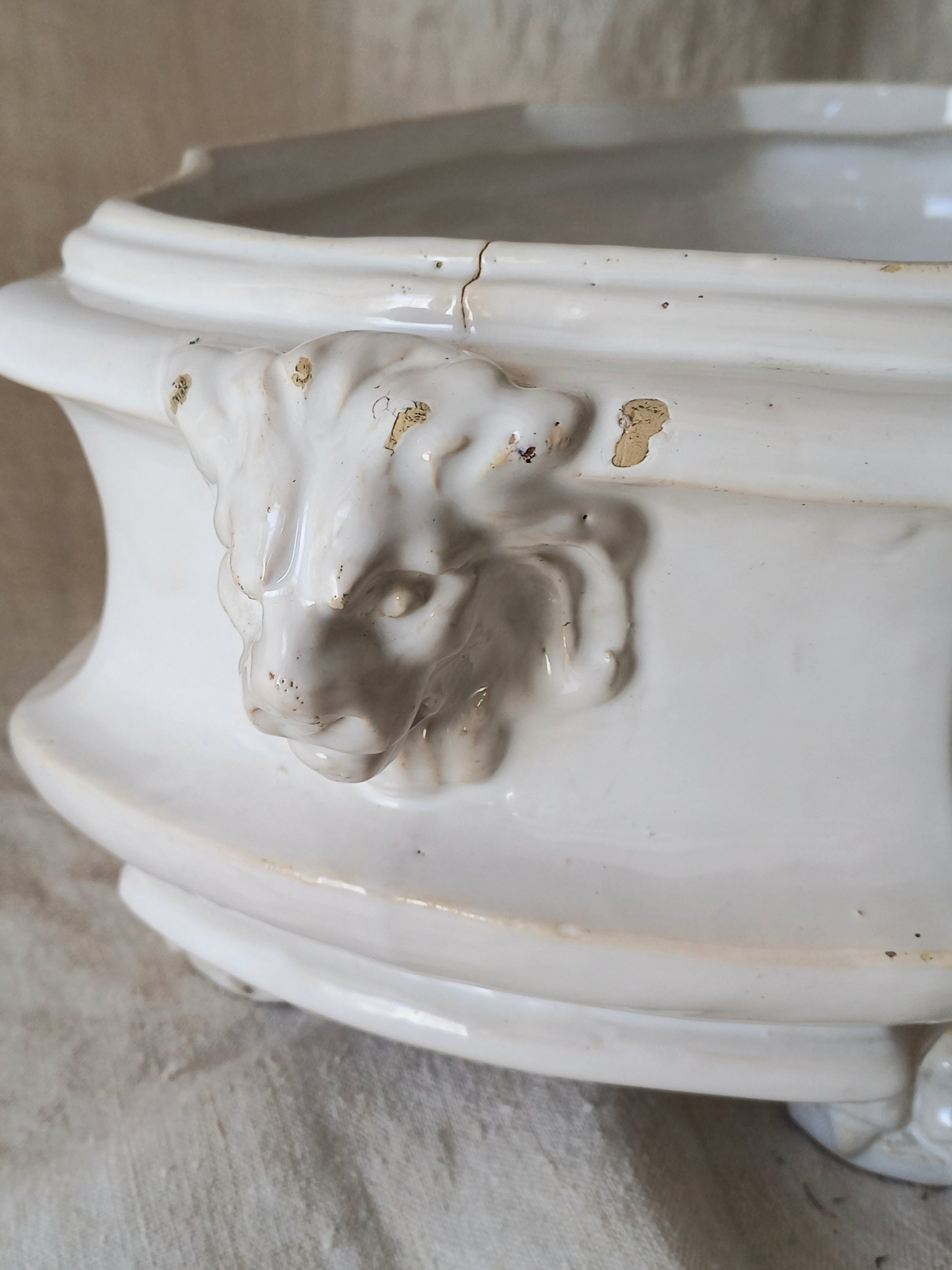 Close-up detail of antique white ceramic planter with a lion head relief on the front and claw-footed base, set against a draped beige fabric background.