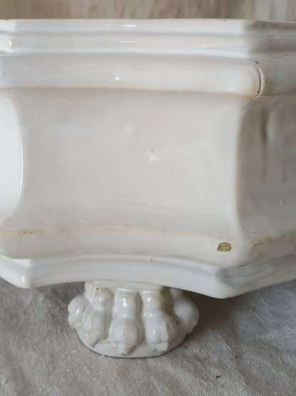 Close-up detail of antique white ceramic planter with a lion head relief on the front and claw-footed base, set against a draped beige fabric background.