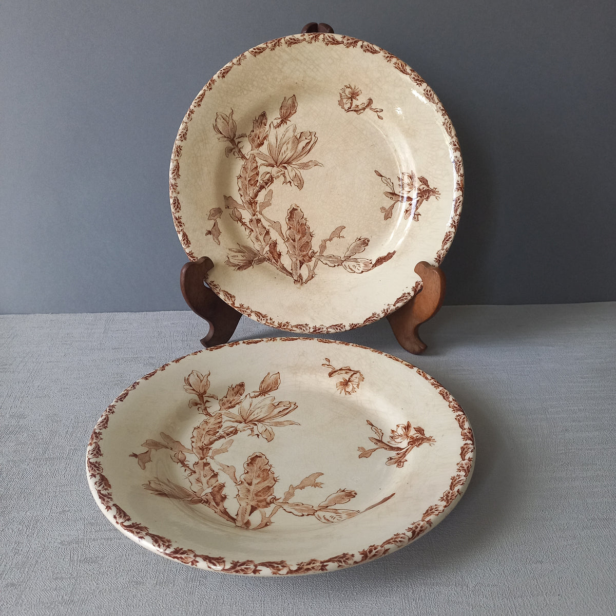A fabulous pair of French antique ironstone creamy white plates with a sepia transferware pattern called 'Cactus' - these pieces were manufactured by famous French manufacturer Gien. They are wonderfully time-worn with lots of general crazing and horizontal crazing (see photos).