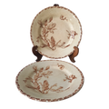 A fabulous pair of French antique ironstone creamy white plates with a sepia transferware pattern called 'Cactus' - these pieces were manufactured by famous French manufacturer Gien. They are wonderfully time-worn with lots of general crazing and horizontal crazing (see photos).