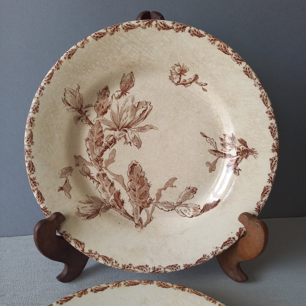A fabulous pair of French antique ironstone creamy white plates with a sepia transferware pattern called 'Cactus' - these pieces were manufactured by famous French manufacturer Gien. They are wonderfully time-worn with lots of general crazing and horizontal crazing (see photos).