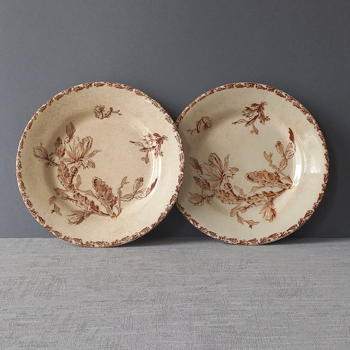 A fabulous pair of French antique ironstone creamy white plates with a sepia transferware pattern called 'Cactus' - these pieces were manufactured by famous French manufacturer Gien. They are wonderfully time-worn with lots of general crazing and horizontal crazing (see photos).