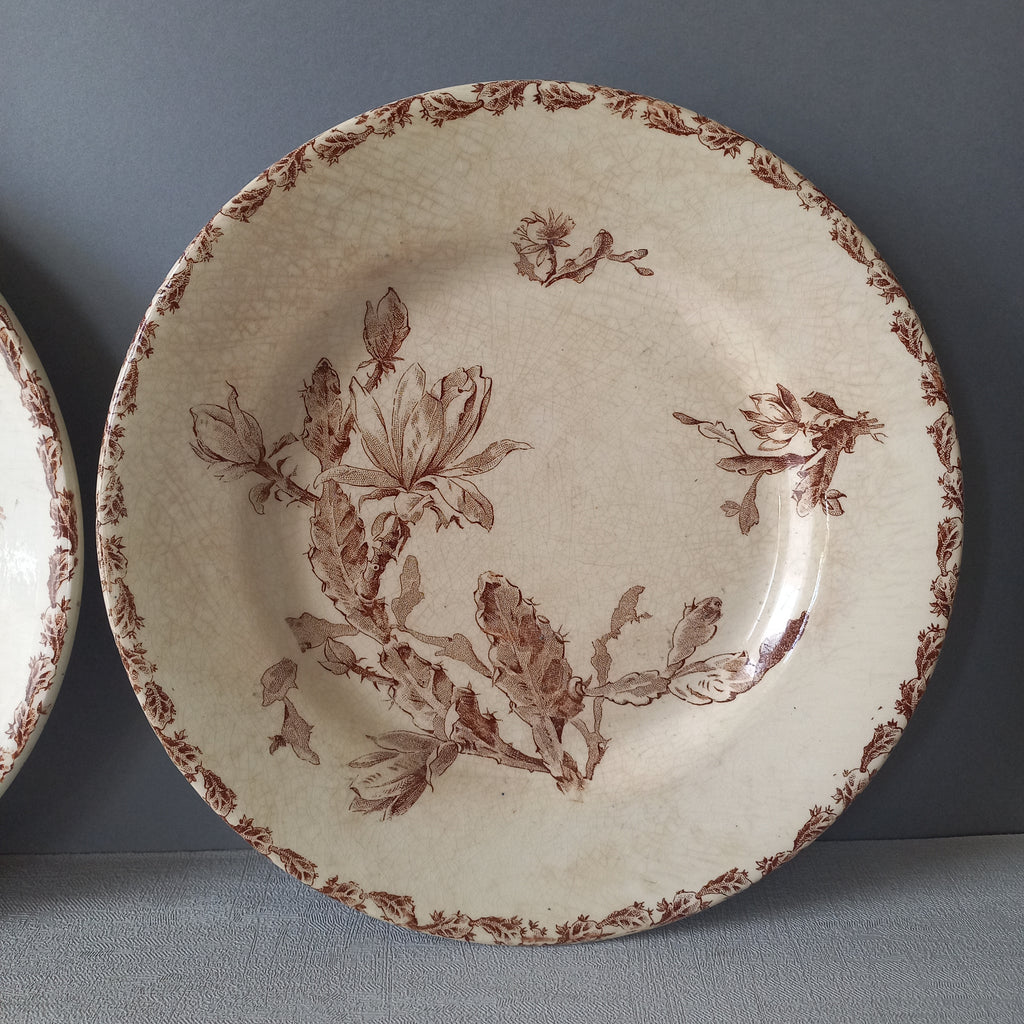 A fabulous pair of French antique ironstone creamy white plates with a sepia transferware pattern called 'Cactus' - these pieces were manufactured by famous French manufacturer Gien. They are wonderfully time-worn with lots of general crazing and horizontal crazing (see photos).