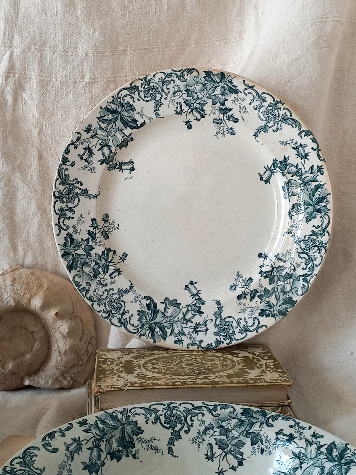 Decorative plate with teal floral pattern on a beige background