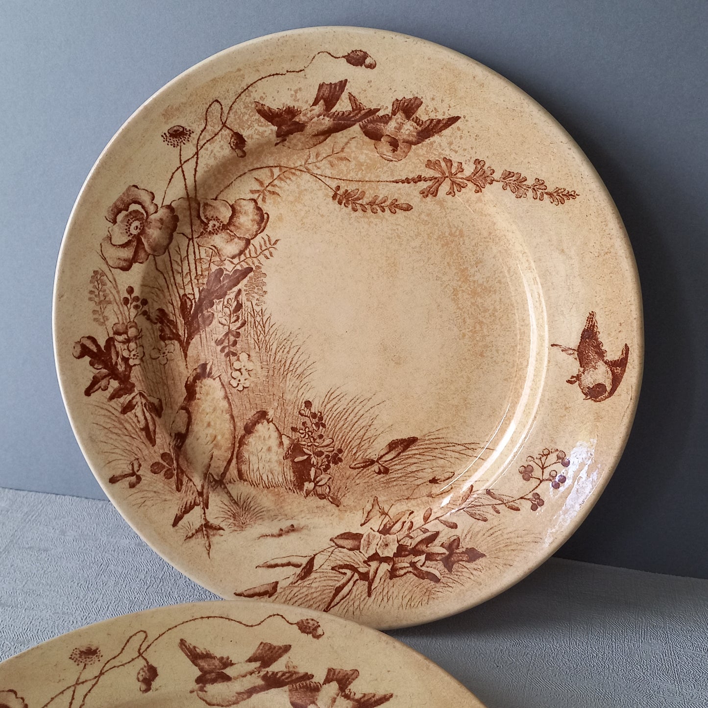 Antique ironstone plates with bird patterns by Jules Veillard Bordeaux, decorative sepia transferware, French shabby chic plates