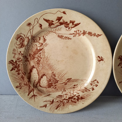 Antique ironstone plates with bird patterns by Jules Veillard Bordeaux, decorative sepia transferware, French shabby chic plates