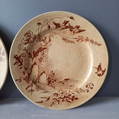 Antique ironstone plates with bird patterns by Jules Veillard Bordeaux, decorative sepia transferware, French shabby chic plates